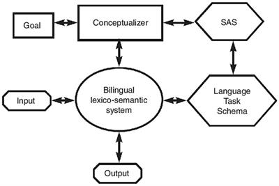 The effect of study-abroad experience on lexical translation among interpreting students